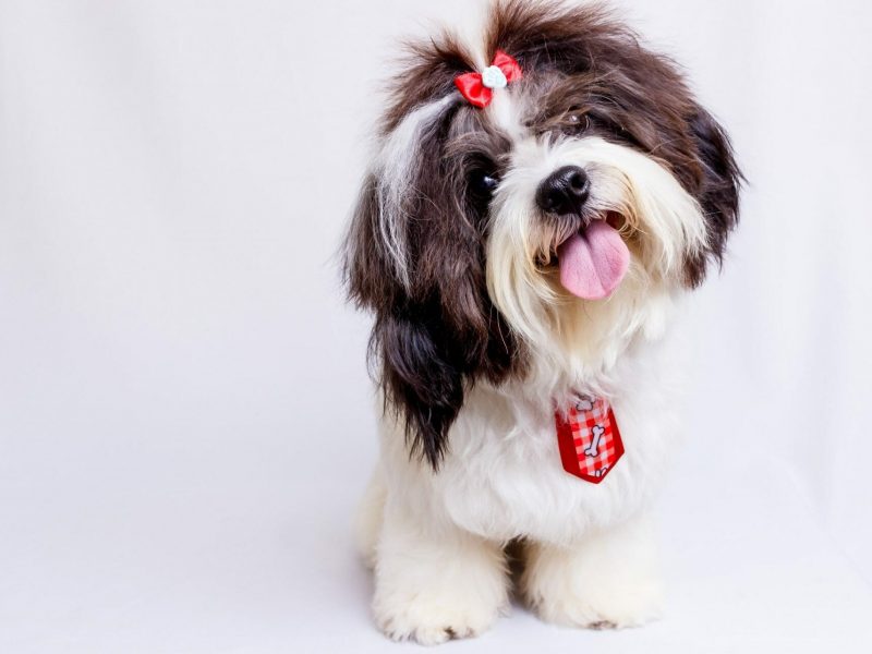 edson-torres-hjzs2nA4y-k-unsplash